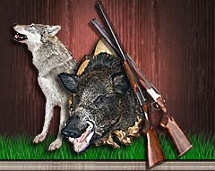Distintos paquetes de caza en Bielorrusia. Caza mayor y menor. Organizacion perfecta. Jabalies, lobos, alces, becadas y mucho mas.