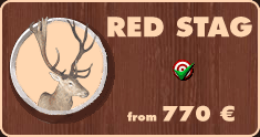 Red deer hunt.